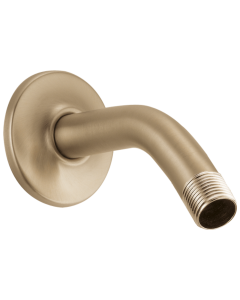 Delta U4993-CZ Shower Arm & Flange